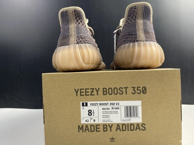 ADIDAS V2 350 YEEZY YECHER